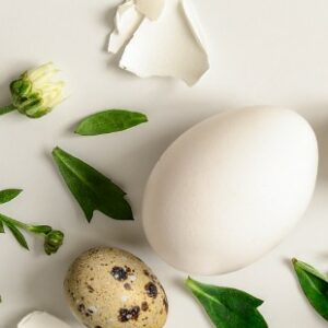 capture d’écran 2026 02 25 104657