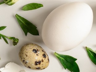 capture d’écran 2026 02 25 104657 v2